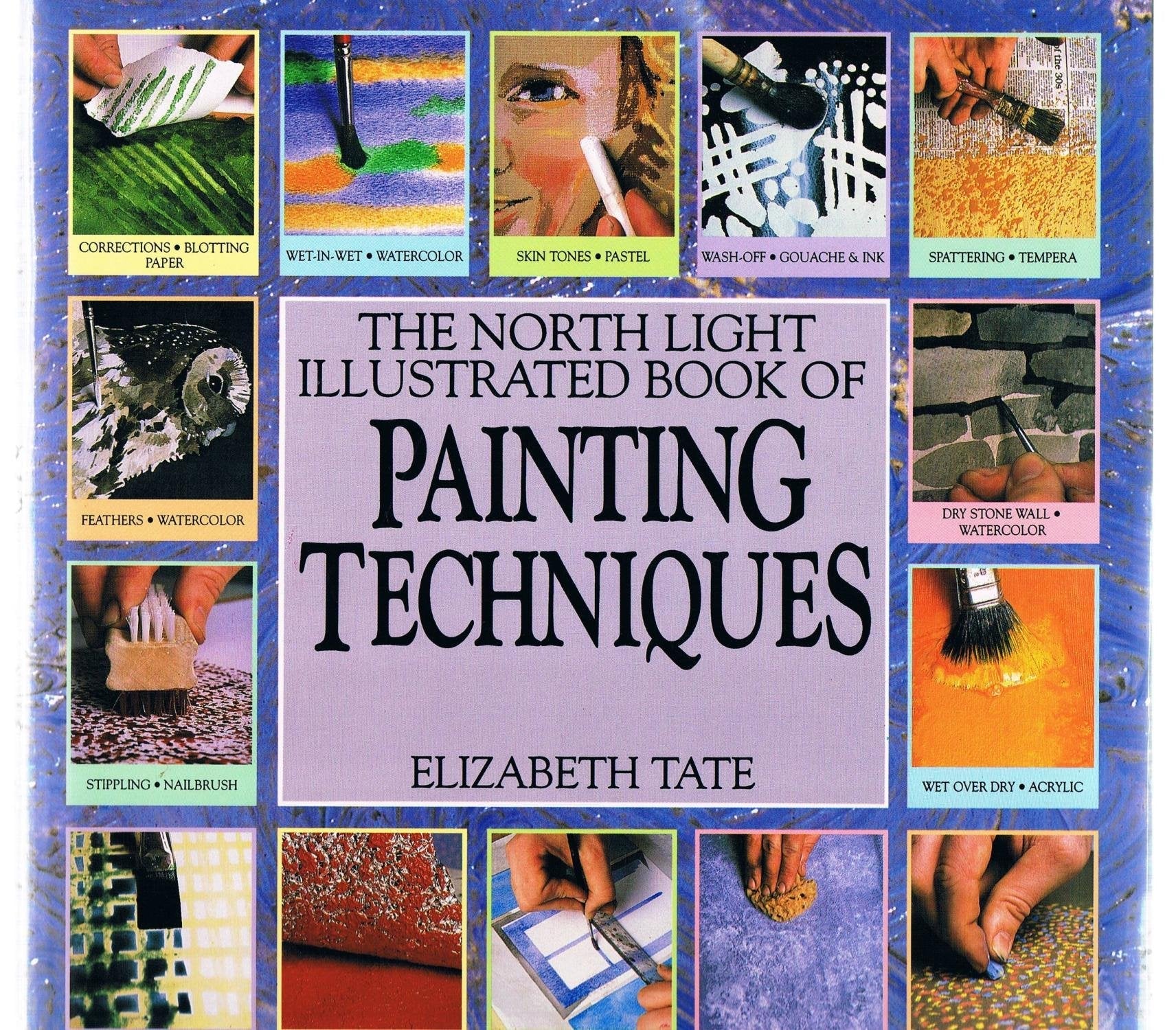 The North Light Illustrated Book of Painting Techniques used book depot