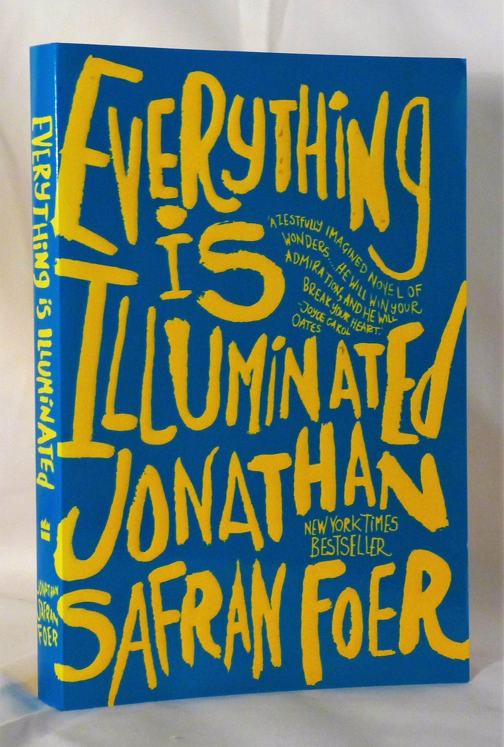 Everything Is Illuminated: A Novel used book depot