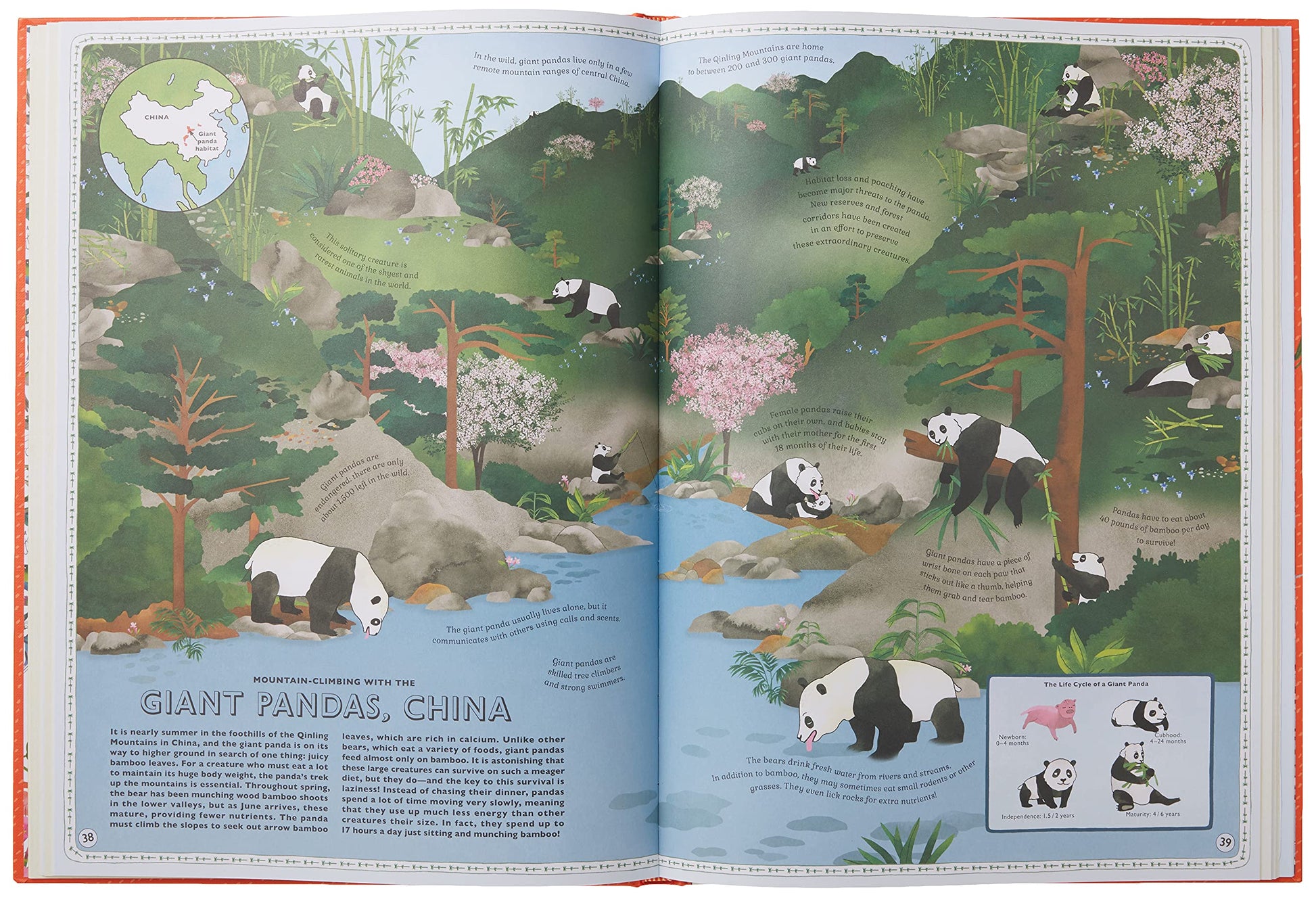 Atlas of Animal Adventures: A collection of nature's most unmissable events, epic migrations and extraordinary behaviours used book depot