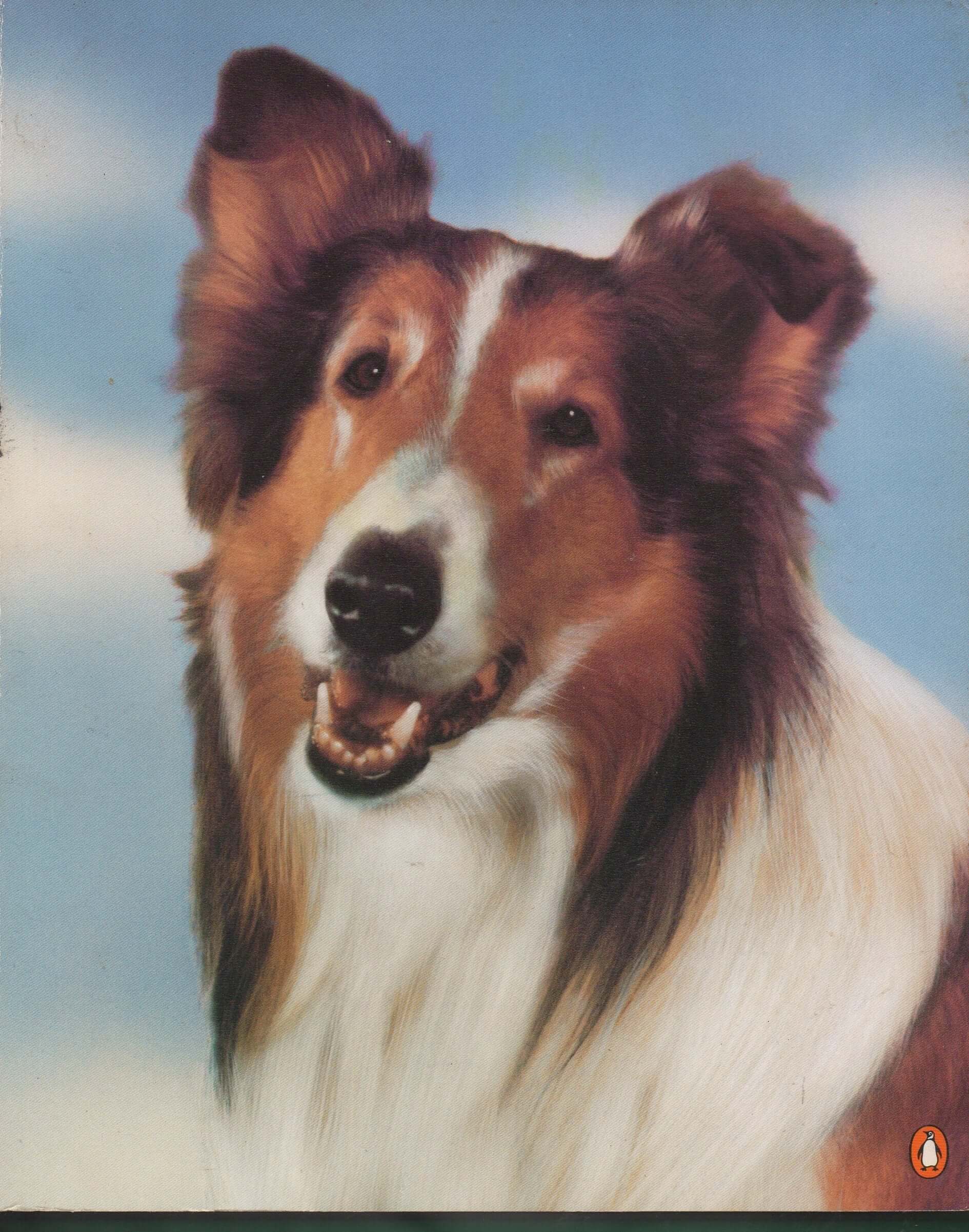 Lassie: A Dog's Life, The First Fifty Years used book depot