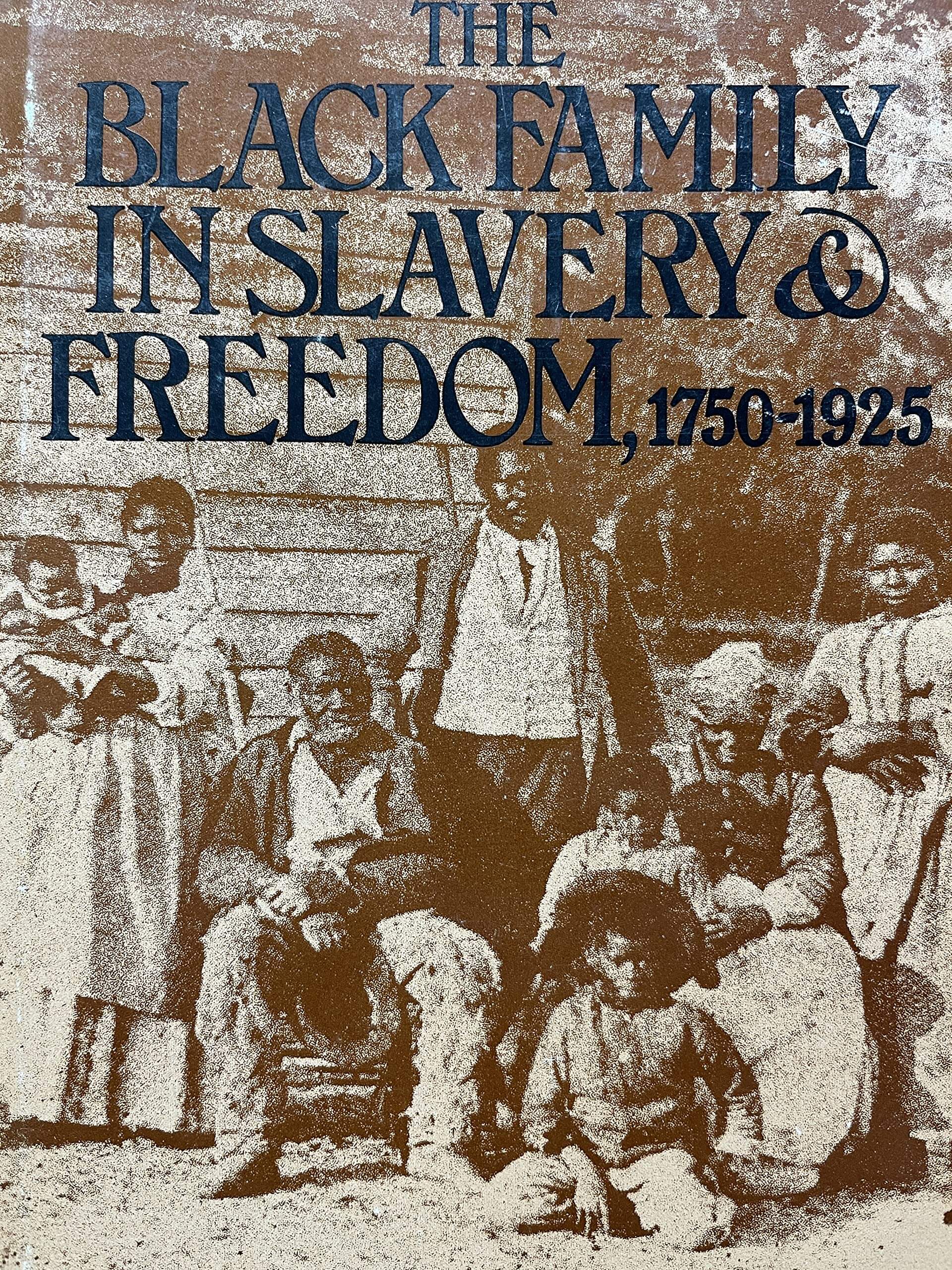 The Black Family in Slavery and Freedom, 1750-1925 used book depot