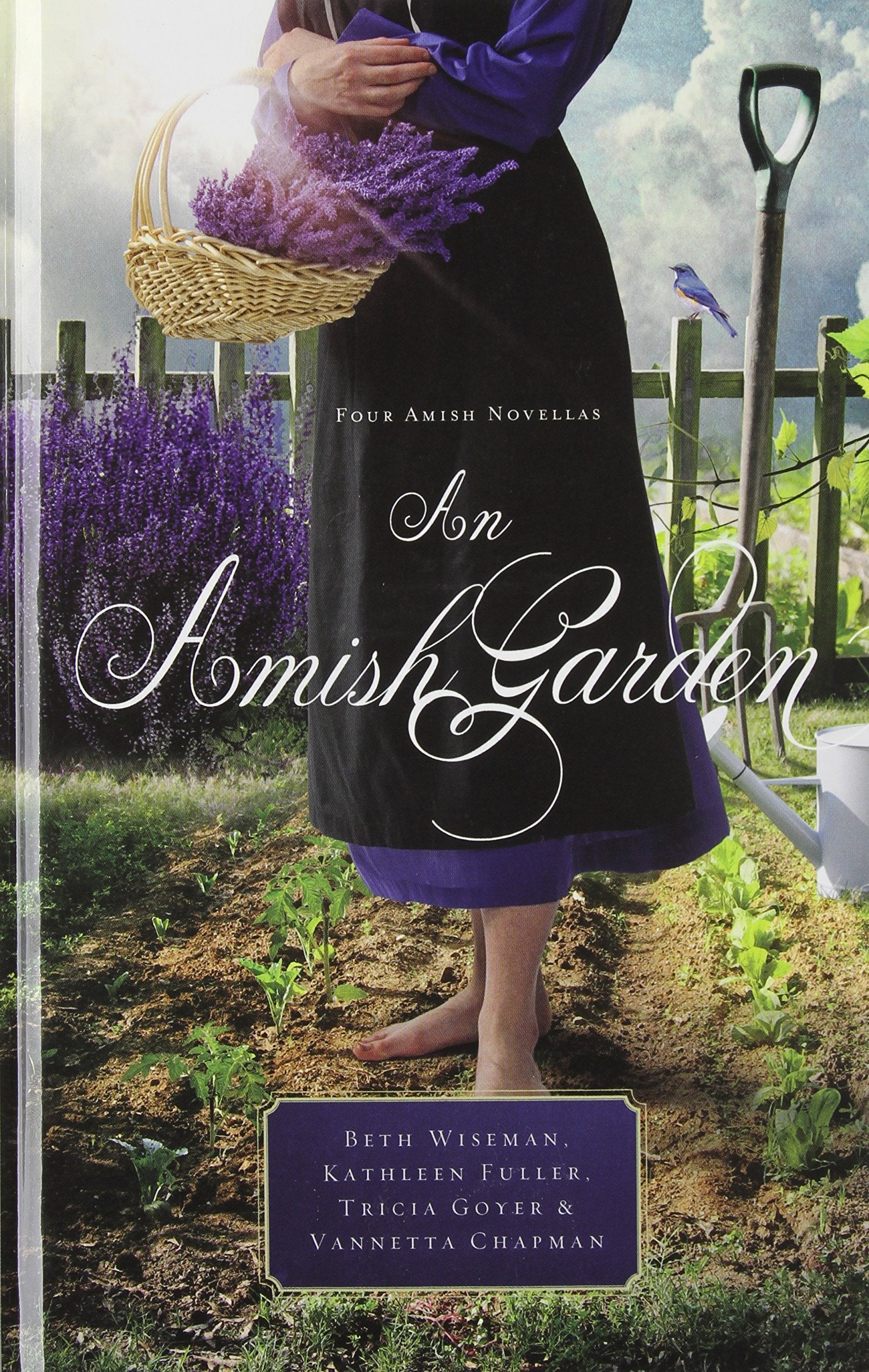 An Amish Garden (Thorndike Press Large Print Christian Fiction) used book depot