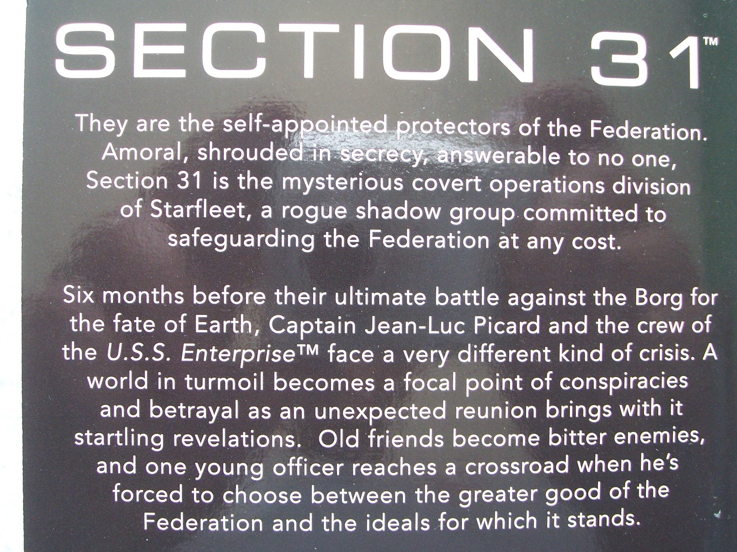 Section 31: Rogue (Star Trek The Next Generation) used book depot
