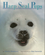 Harp Seal Pups used book depot