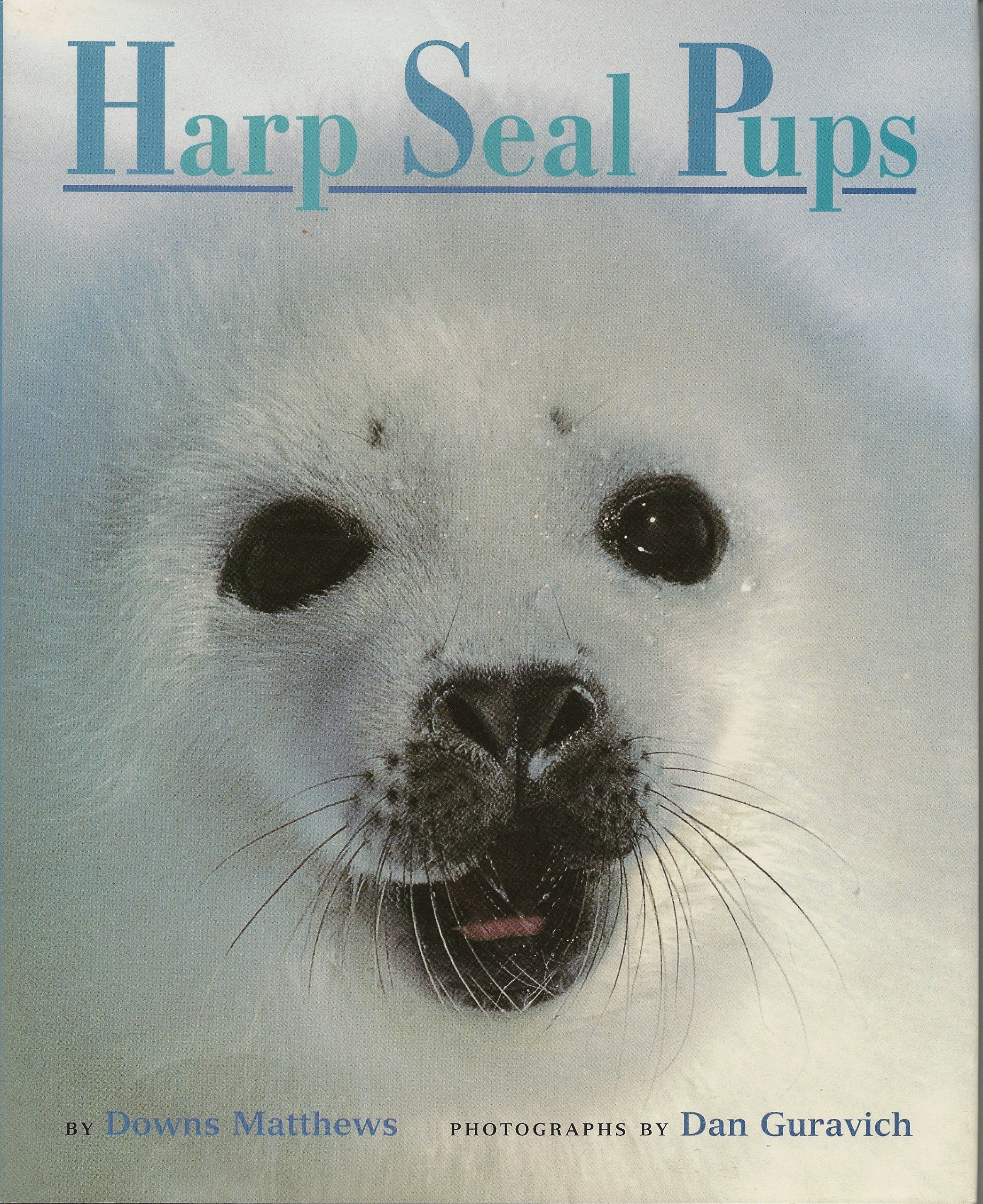 Harp Seal Pups used book depot