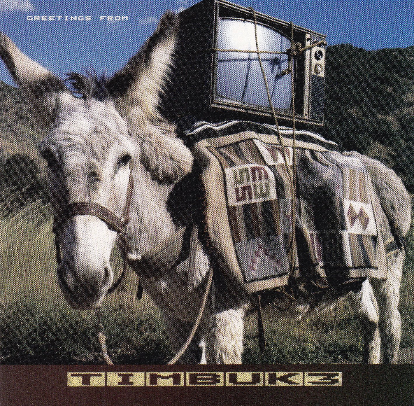 Greetings from Timbuk 3 used book depot