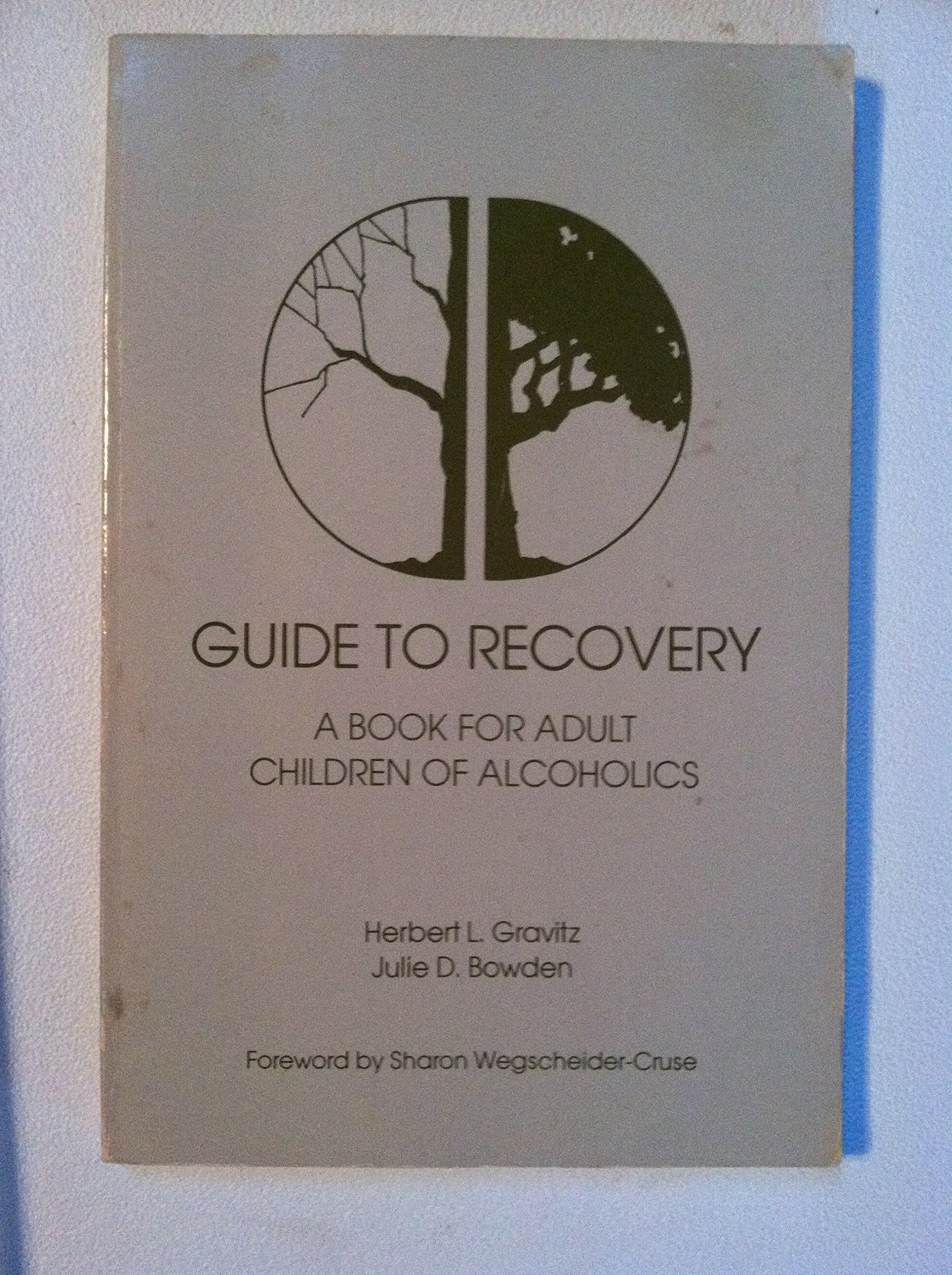 Guide to Recovery used book depot