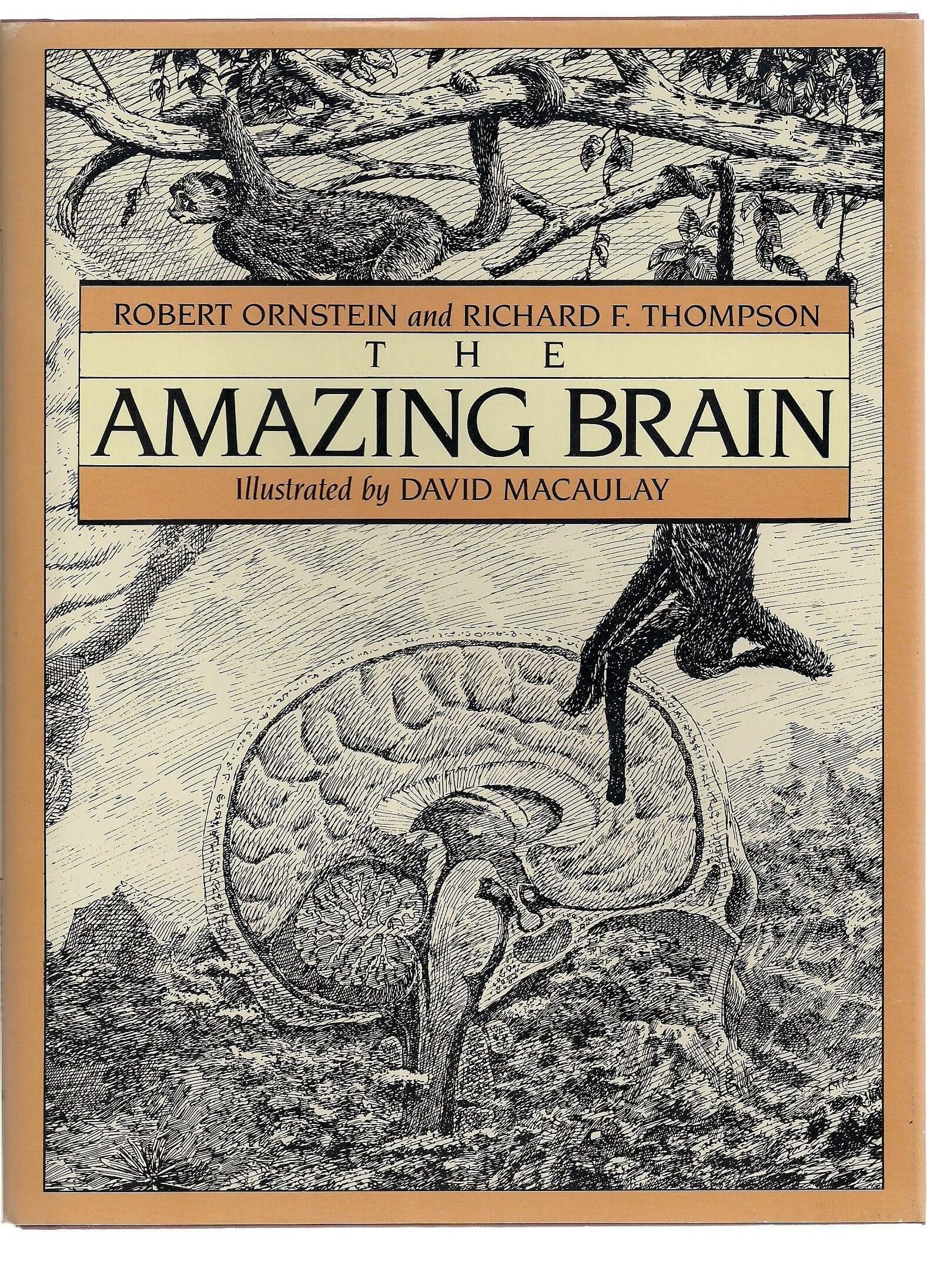 The Amazing Brain used book depot