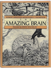 The Amazing Brain used book depot