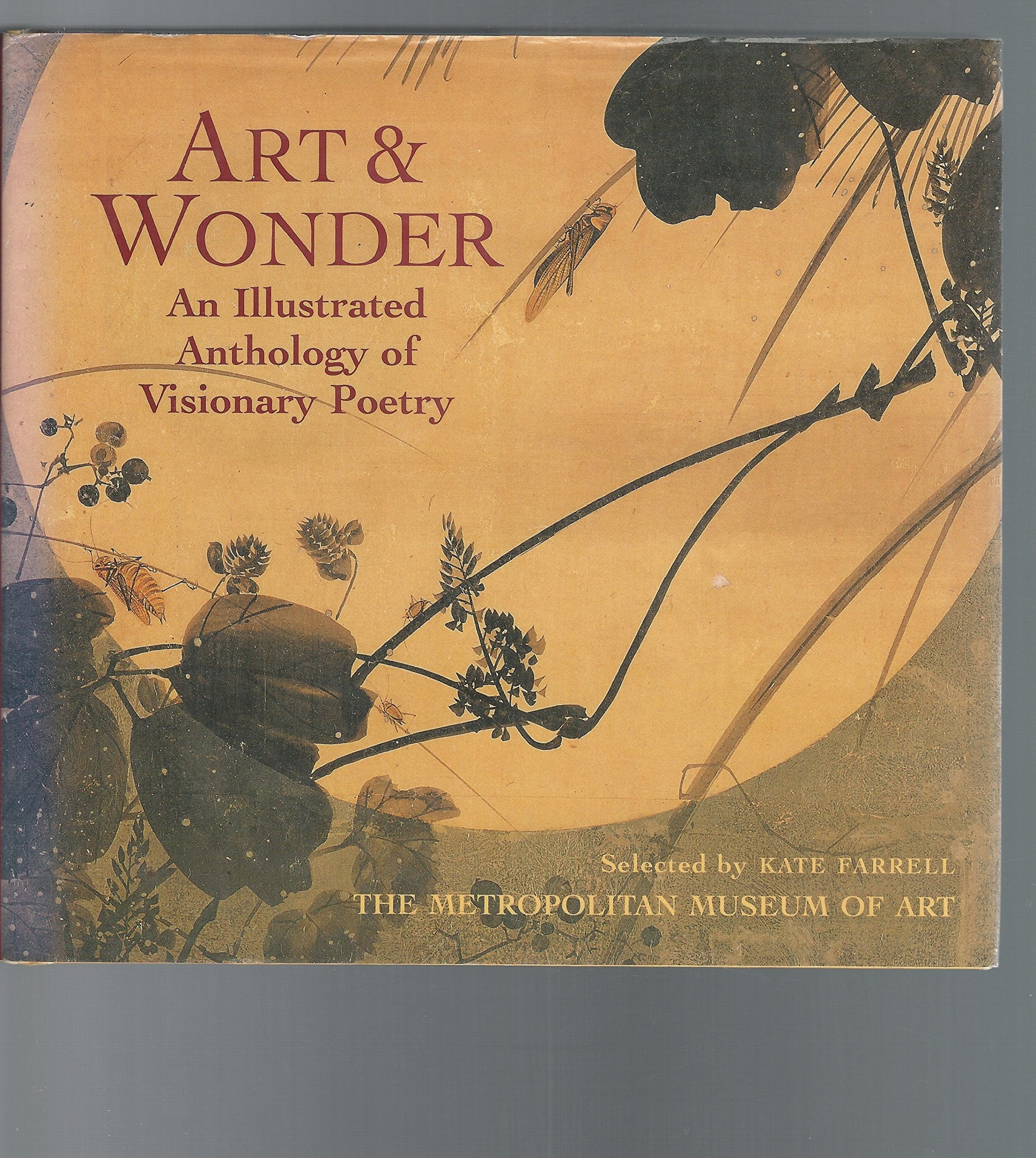Art & Wonder: An Illustrated Anthology of Visionary Poetry used book depot