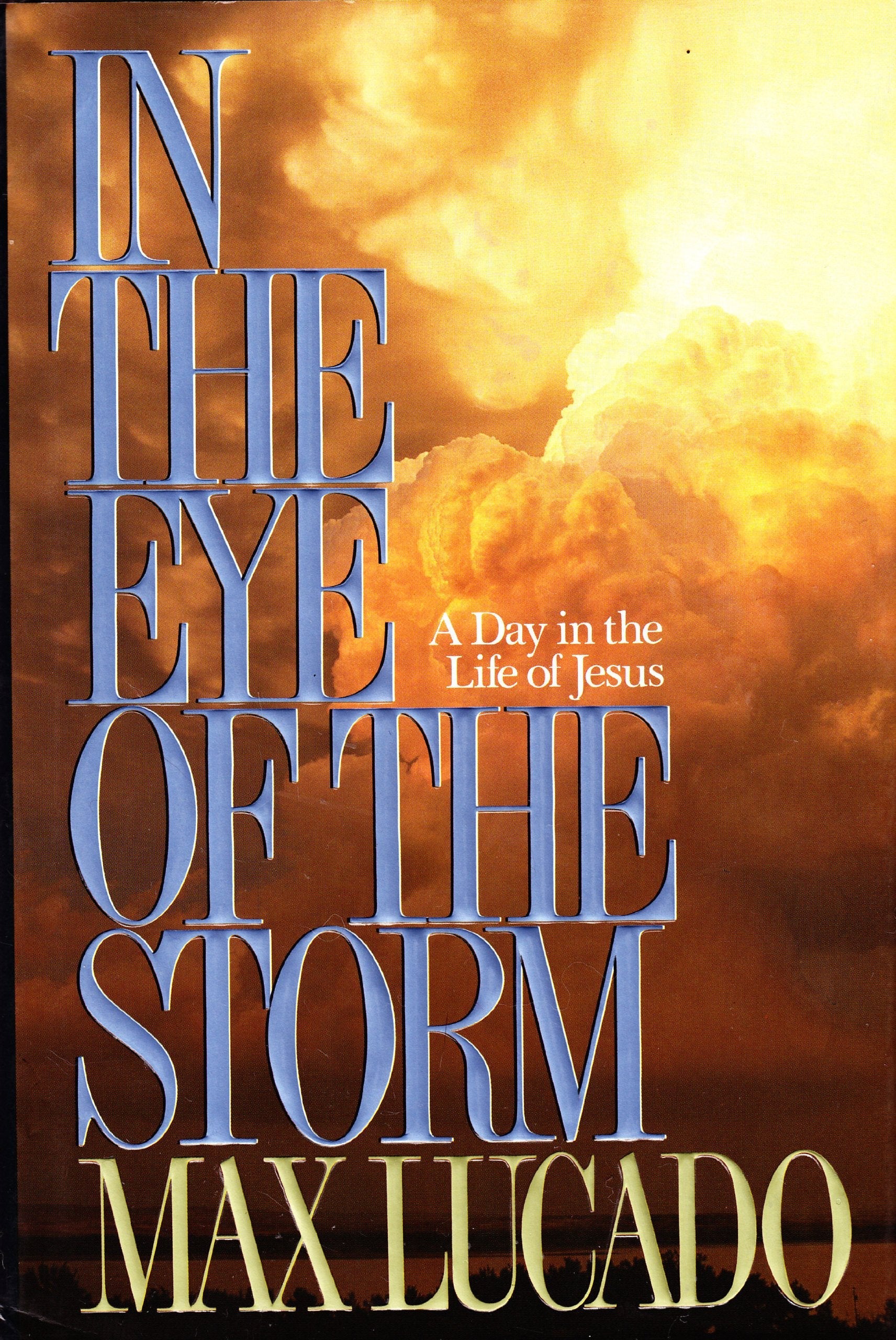 In the Eye of the Storm used book depot
