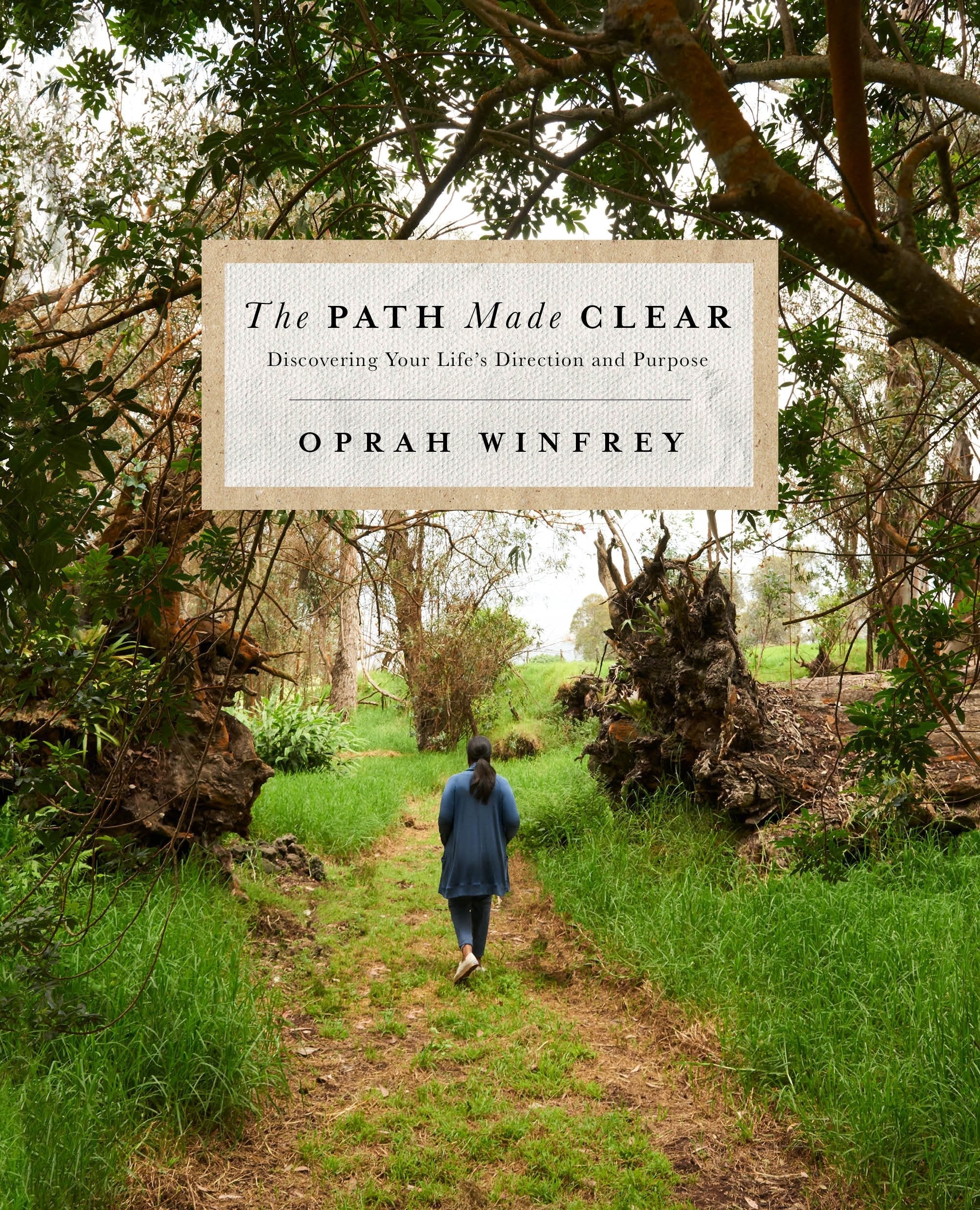 The Path Made Clear: Discovering Your Life's Direction and Purpose used book depot