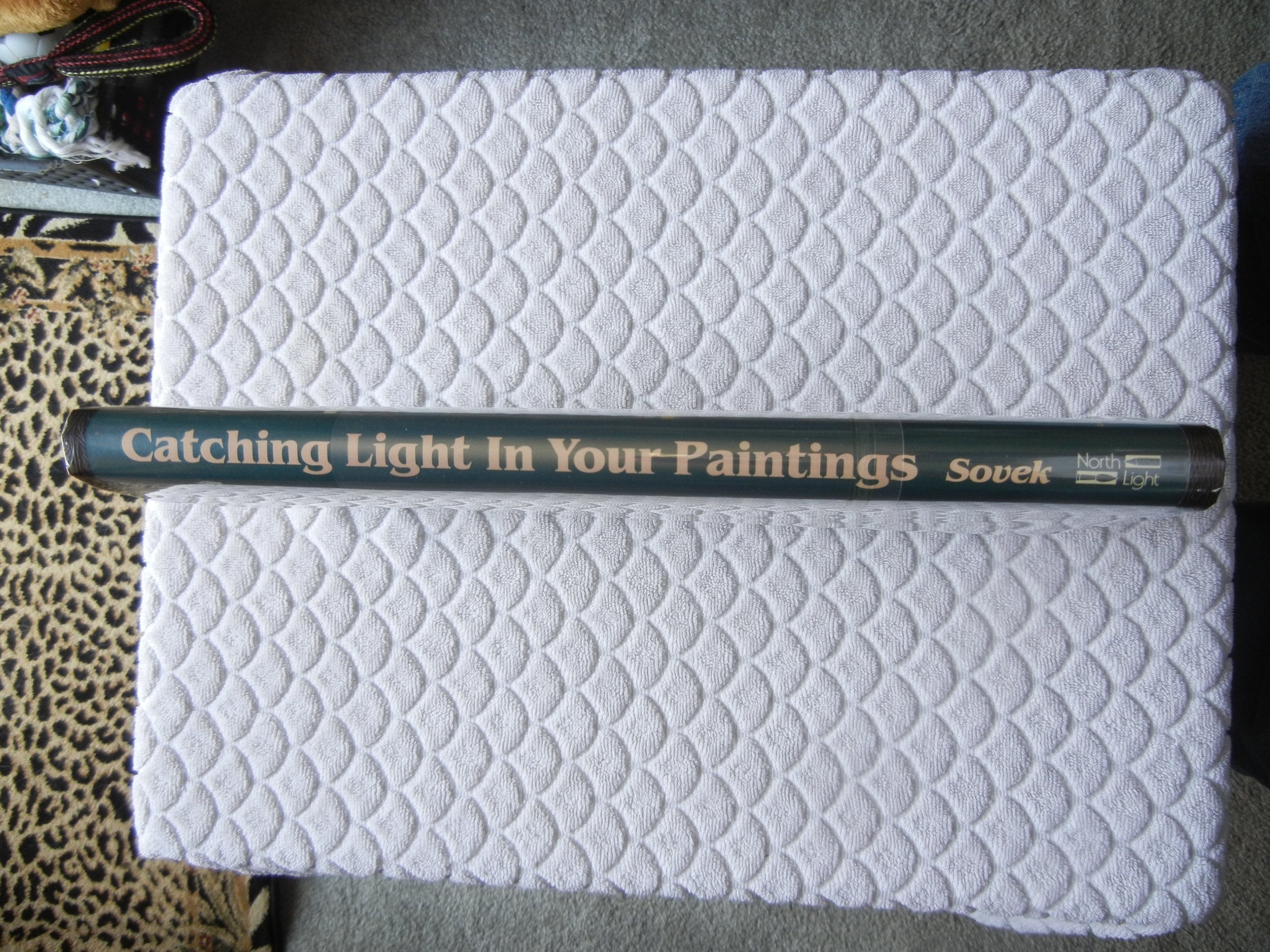 Catching Light in Your Paintings used book depot