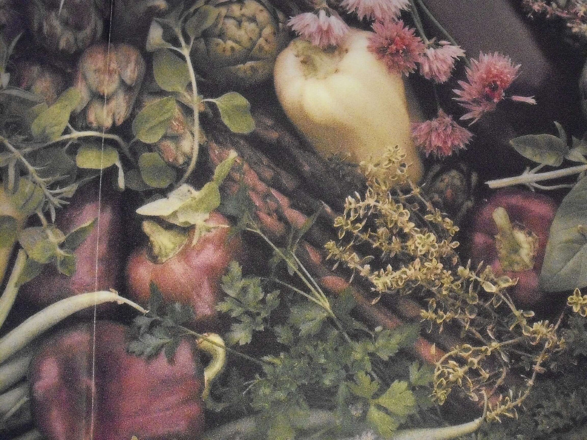 Herbs: A Country Garden Cookbook used book depot