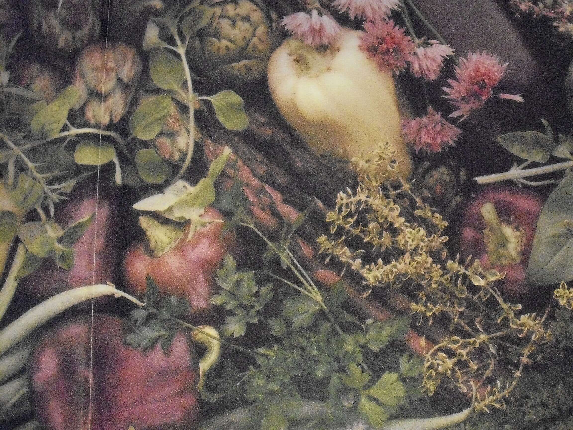 Herbs: A Country Garden Cookbook used book depot