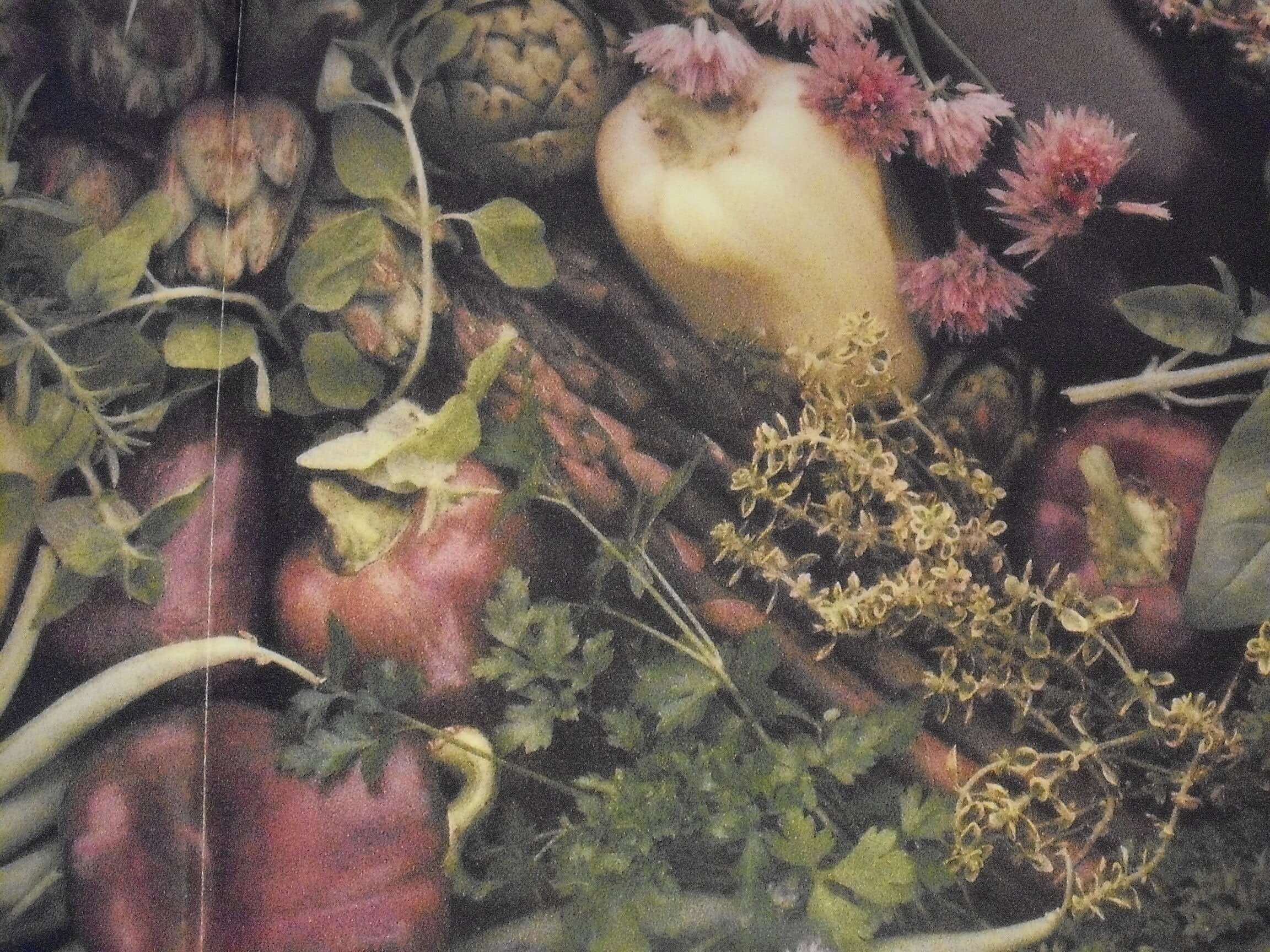 Herbs: A Country Garden Cookbook used book depot