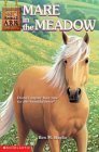 Mare in the Meadow (Animal Ark Series #31) used book depot