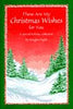 These Are My Christmas Wishes for You: A Special Holiday Collection Pagels, Douglas