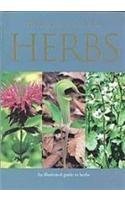 A Pocket Guide to Herbs used book depot