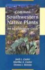Common Southwestern Native Plants: An Identification Guide used book depot