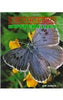 Butterflies (Endangered!)