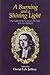 A Burning and a Shining Light: English Spirituality in the Age of Wesley Jeffrey, David Lyle