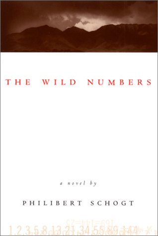 The Wild Numbers: A Novel used book depot
