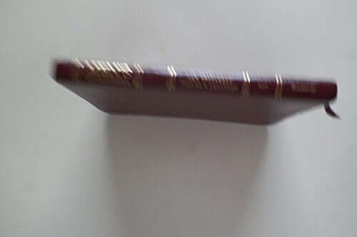 Holy Bible: Niv Men's Devotional New Testmanet With Psalms and Proverbs With Daily Devotions from Godly Men/Burgundy Bonded Leather used book depot