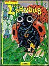 Little Ladybug (Who's There?) used book depot