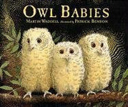 Owl Babies used book depot