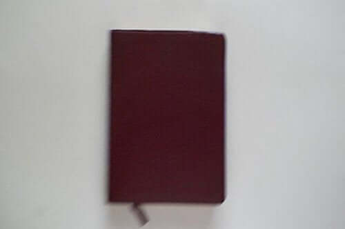 Holy Bible: Niv Men's Devotional New Testmanet With Psalms and Proverbs With Daily Devotions from Godly Men/Burgundy Bonded Leather used book depot