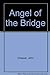 Angel of the Bridge [Hardcover] cheeverjohn