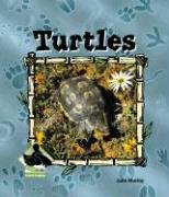 Turtles (Animal Kingdom) used book depot