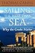 Sailing the Wine-Dark Sea: Why the Greeks Matter (The Hinges of History)