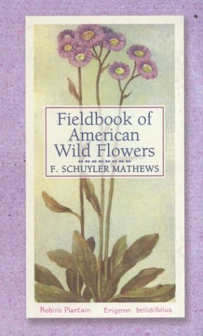 Fieldbook of American Wild Flowers (Main Street Books) used book depot