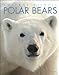 Amazing Animals: Polar Bears Bodden, Valerie