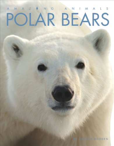 Amazing Animals: Polar Bears Bodden, Valerie