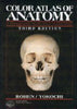 Color Atlas of Anatomy: A Photographic Study of the Human Body Rohen, Johannes W; Yokochi, Chihiro; Romrell, Lynn J