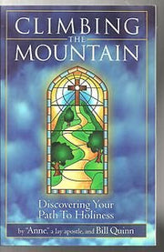 Climbing the Mountain used book depot