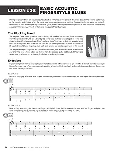 100 Blues Lessons - Guitar Lesson Goldmine Series (Bk/Online Audio) used book depot