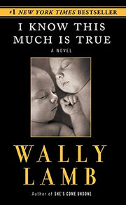 I Know This Much Is True (Oprah's Book Club) used book depot