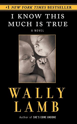I Know This Much Is True (Oprah's Book Club) used book depot