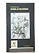 Field Guide to the Birds of Colombia, 1st Edition by McMullan, Miles, Donegan, Thomas M, Quevedo, Alonso 2010 Paperback Miles McMullen; Thomas M Donegan and Alonso Quevedo