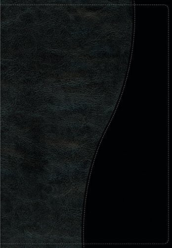 Life Application Study Bible NIV, Personal Size TuTone