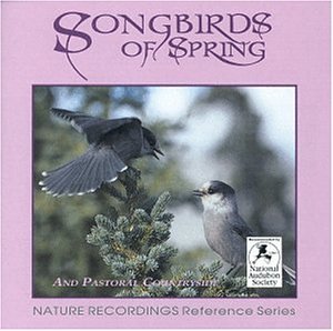 Songbirds of Spring used book depot