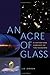 An Acre of Glass: A History and Forecast of the Telescope [Hardcover] Zirker, J B