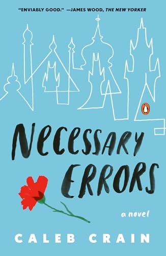 Necessary Errors: A Novel