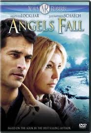 Angels Fall used book depot