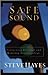 Safe  Sound: Protecting Personal and Ministry Relationships Hayes, Steve and Rogers, Adrian