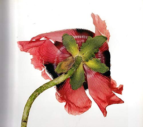 Flowers used book depot